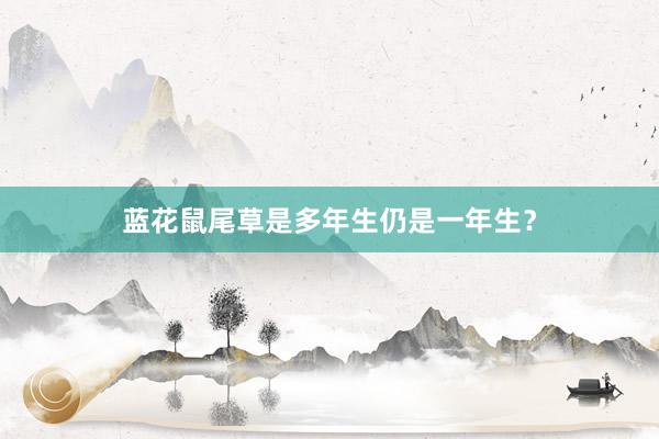 蓝花鼠尾草是多年生仍是一年生？